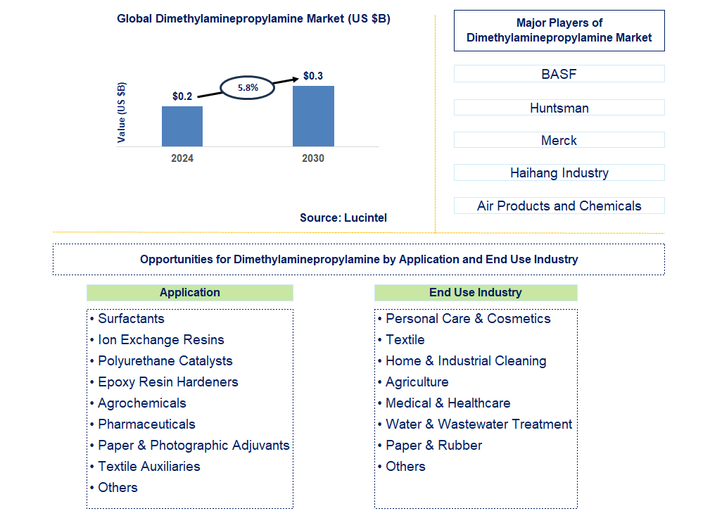 Dimethylaminepropylamine Trends and Forecast